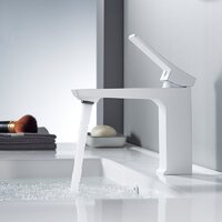 Shevanik S4401C Image #2