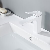 Shevanik S4401C Image #6