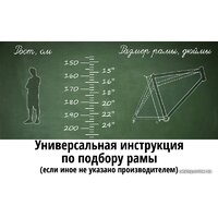 Велосипед Krakken Calypso W 2023 (черный) - Превью изображения №2 — Интернет-Магазин TECNO.BY