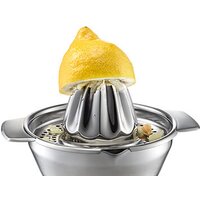 Ручные соковыжималки