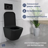 Унитаз подвесной Lauter Nuremberg 21811B (черный) - Превью изображения №4 — Интернет-Магазин TECNO.BY