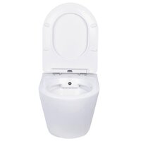 Roxen Antares 530185-01X Rimless Soft Close с функцией биде Image #14