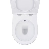 Roxen Antares 530185-01X Rimless Soft Close с функцией биде Image #16