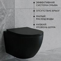 Унитаз подвесной Lauter Augsburg 21109EC + I012709 + I090251 (черный матовый с кнопкой смыва хром глянцевый) - Превью изображения №3 — Интернет-Магазин TECNO.BY