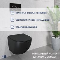 Унитаз подвесной Lauter Sulzdorf 21103001B+Solido 38811KF0 с кнопкой+панель 37131000 (прямоугольная, черный) - Превью изображения №5 — Интернет-Магазин TECNO.BY