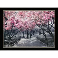 Декарт 8Л2440