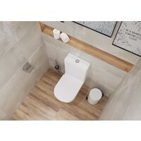 Унитаз напольный Lauter W76 P-TRAP 21122762 + гигиенический душ Glow 21LT0224GL (горизонтальный выпуск) - Превью изображения №10 — Интернет-Магазин TECNO.BY