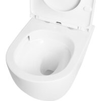 Roxen Antares Tornado Long в комплекте с инсталляцией StounFix Dual Fresh 6 в 1 868411 (кнопка: белый глянцевая) Image #11