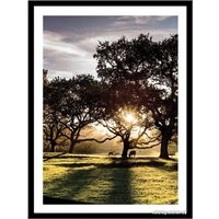 Miram Природа. Рассвет 230401802 (30x40, в раме)