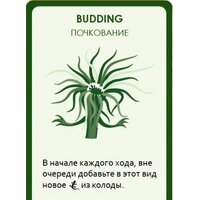 Настольная игра Правильные игры Эволюция. Случайные мутации - Превью изображения №12 — Интернет-Магазин TECNO.BY