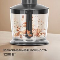 Redmond (Редмонд) BH425 Image #7