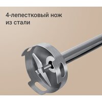 Redmond (Редмонд) BH425 Image #6