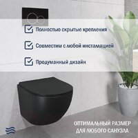 Унитаз подвесной Lauter Sulzdorf + Breez 21GN7072BM (черный с микролифтом) - Превью изображения №4 — Интернет-Магазин TECNO.BY