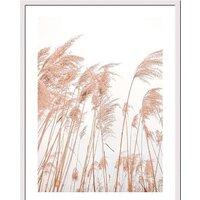 Miram Живой гербарий. Пампасная трава 230401611 (30х40)