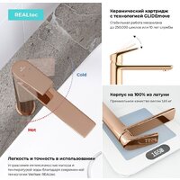 Wellsee ICON! for life 182309000, отдельностоящий (розовое золото) Image #4