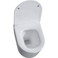 Roxen Simple Compact в комплекте с инсталляцией StounFix Dual Fresh 6 в 1 966614 (кнопка: бежевый) Image #5