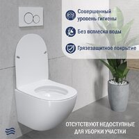 Lauter Sulzdorf + 21901001 (белый с микролифтом и кнопкой смыва 219704HD черный) Image #5