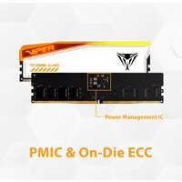 Patriot Viper Elite 5 RGB TUF Gaming Alliance 2x16ГБ DDR5 6600 МГц PVER532G66C34KT Image #11