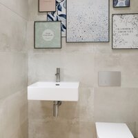 Lauter 21478 (50x42) Image #3