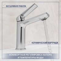 Lauter 21675 + Sky 21CK533C с сифоном 21635CH (хром) Image #5