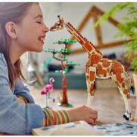 Конструктор LEGO Creator 31150 Дикие животные сафари - Превью изображения №9 — Интернет-Магазин TECNO.BY