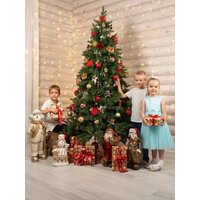 National Tree Company Ариадна АРД-210 (210см) Image #10