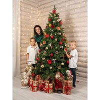 National Tree Company Ариадна АРД-210 (210см) Image #11