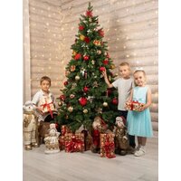 National Tree Company Ариадна АРД-210 (210см) Image #12