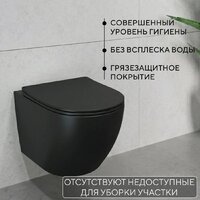 Унитаз подвесной Lauter Augsburg 21109EC + I012703.0251 (черный матовый с кнопкой смыва) - Превью изображения №6 — Интернет-Магазин TECNO.BY