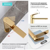 Wellsee ICON! for life 182308000, отдельностоящий (золотой) Image #4