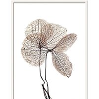 Miram Живой гербарий. Сухоцвет 230401609 (30х40)