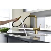 Paulmark Serpentine Se213222-BG (золото/брашированное золото) Image #9