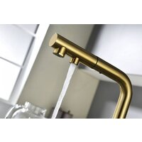 Paulmark Serpentine Se213222-BG (золото/брашированное золото) Image #13