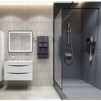 IDDIS Slide SLI3F0Ci18 Image #6