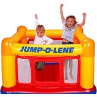 Intex 48260 Image #2