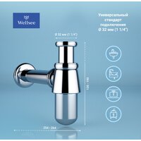 Wellsee Drainage System 182103000 (хром) Image #2