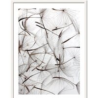 Miram Живой гербарий. Семена одуванчика 230401608 (30х40)