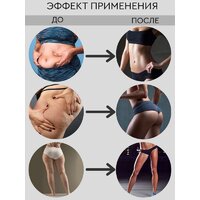 Planta VP-05 Image #8