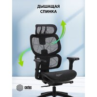 Офисное кресло CACTUS CS-MC555-BK (черный) - Превью изображения №8 — Интернет-Магазин TECNO.BY