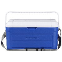 Арктика 2000-20 (синий)