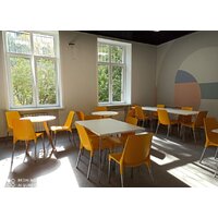 Sheffilton SHT-S75-1 (желтый RAL1021/хром лак) Image #5