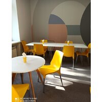 Sheffilton SHT-S75-1 (желтый RAL1021/хром лак) Image #4