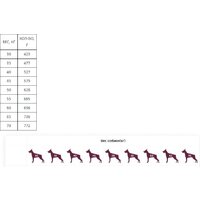 Award Adult Large для крупных пород с курицей, индейкой с добавлением тыквы и шиповника 2 кг Image #8