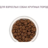 Award Adult Large для крупных пород с курицей, индейкой с добавлением тыквы и шиповника 2 кг Image #5