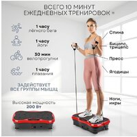 Planta VP-03 Image #4