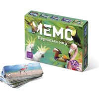 Нескучные игры Мемо. Пернатый мир 7952