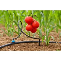 GreenLine 64 на 72 капельницы Image #8