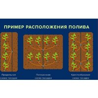 GreenLine 64 на 72 капельницы Image #9