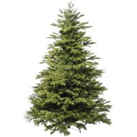 National Tree Company Таежная ТЖ-230 230 см