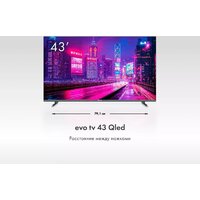 Evo TV 43 QLED TD0051755RU Image #6